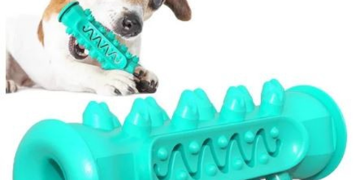 Upgrade Your Pet’s Living Space with Trendy and Practical Furniture